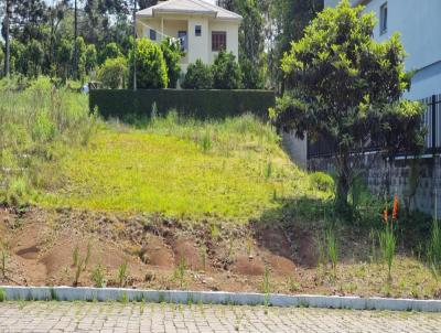 Terreno para Venda, em Veranpolis, bairro So Pelegrino